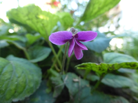 P1530834.webp