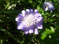 P1530859.webp