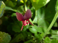 P1530829.webp