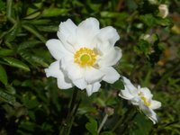 P1530862.webp