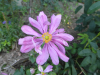 P1530524.webp