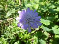 P1530858.webp