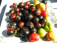 DSCN0027.webp
