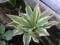 002_1024x768.webp