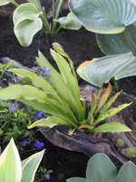 003_576x768.JPG