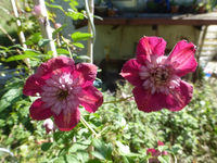 P1530842.webp