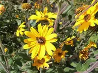 Bilda081.webp