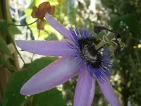 PA010533.webp
