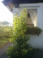 CAM01253.webp