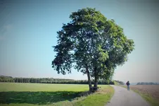 DSCF3575 (2).webp