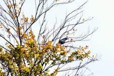 DSCF3586 (2).webp