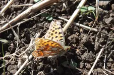 DSCF3583.webp
