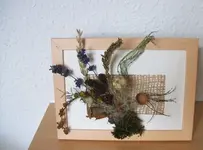 herbstbild 001.webp