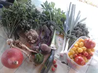 2015-09-30.jpg