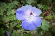 DSCF3465 (2).webp