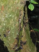 002_576x768.webp