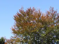 013_1024x768.webp