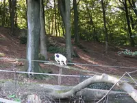 003_1024x768.webp