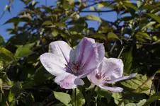 _DSC9432.webp