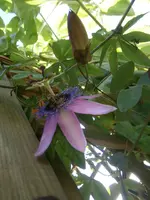 PA020545.webp
