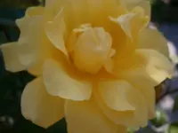 PA020547.webp