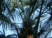 PA020554.webp