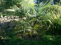 PA020555.webp