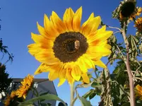 PA020556.webp
