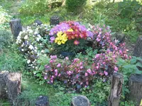 002.webp