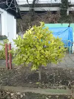 CAM01032.webp