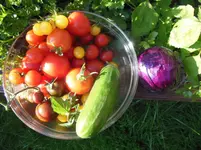DSCN1949.1.webp