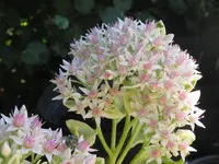 009_1024x768.webp