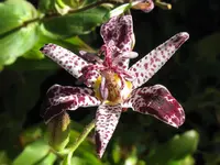 004_1024x768.webp