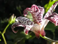 005_1024x768.webp