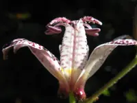 006_1024x768.webp