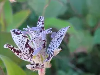 008_1024x768.webp