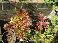 002_1024x768.webp