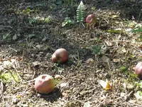 003_1024x768.webp