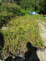 001_576x768.webp