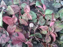 20151003_181817.webp