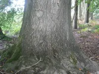 PA030561.webp