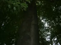 PA030562.webp