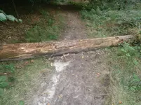 PA030563.webp