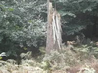 PA030564.webp