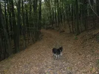 PA030565.webp