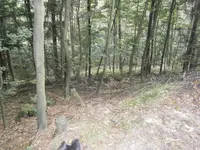 PA030566.webp