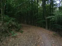 PA030567.webp