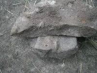 PA030568.webp