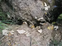 PA030569.webp