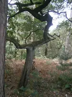 PA030571.webp